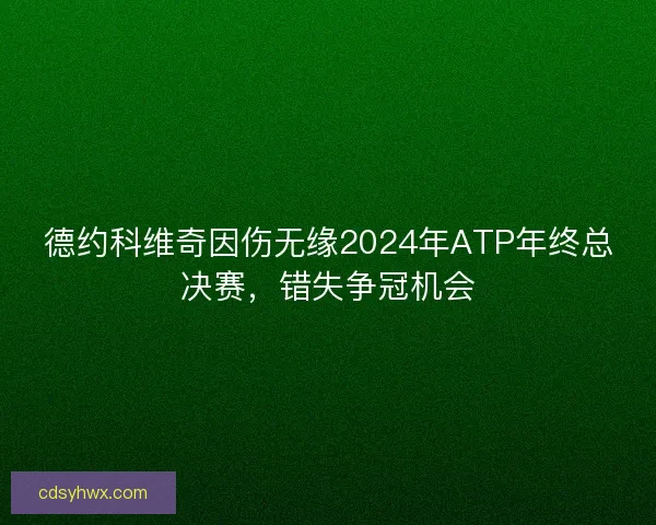 德约科维奇因伤无缘2024年ATP年终总决赛，错失争冠机会
