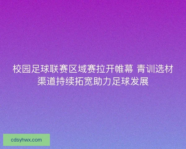 校园足球联赛区域赛拉开帷幕 青训选材渠道持续拓宽助力足球发展