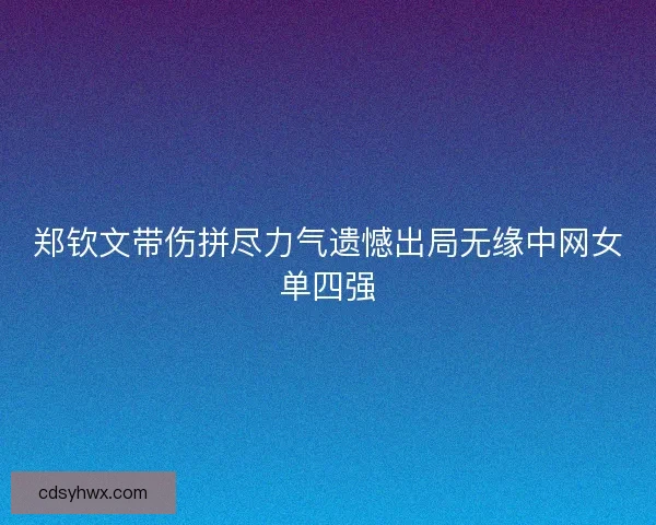 郑钦文带伤拼尽力气遗憾出局无缘中网女单四强