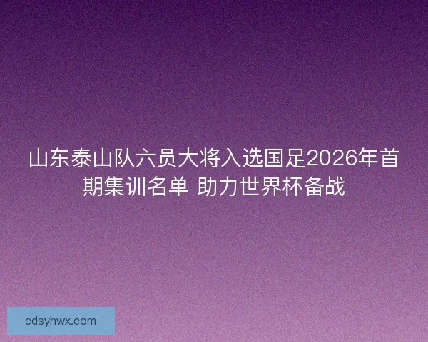 山东泰山队六员大将入选国足2026年首期集训名单 助力世界杯备战