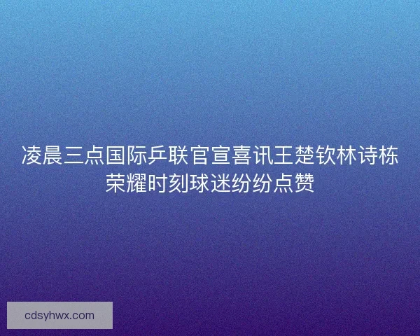 凌晨三点国际乒联官宣喜讯王楚钦林诗栋荣耀时刻球迷纷纷点赞