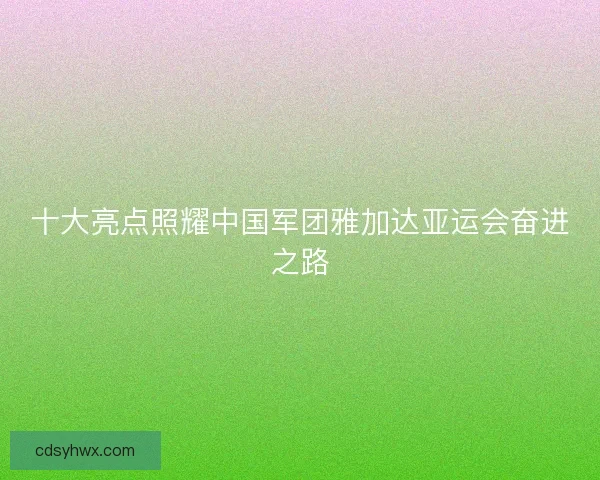 十大亮点照耀中国军团雅加达亚运会奋进之路 十大亮点照耀中国军团雅加达亚运会奋进之路
