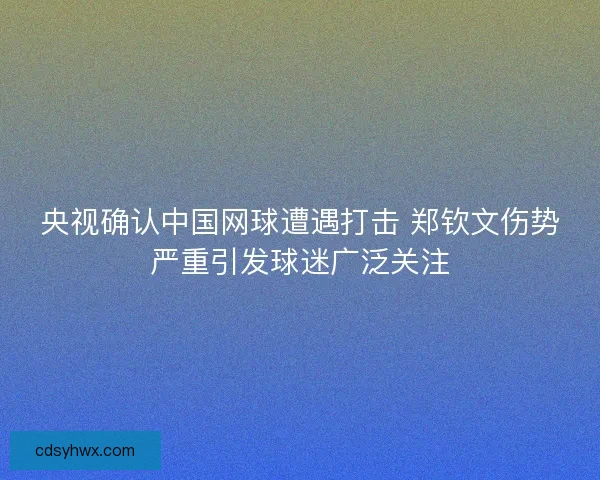 央视确认中国网球遭遇打击 郑钦文伤势严重引发球迷广泛关注 央视确认中国网球遭遇打击 郑钦文伤势严重引发球迷广泛关注